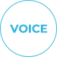 voice