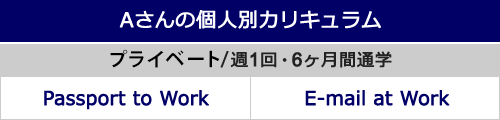 Aさんの個人別カリキュラム