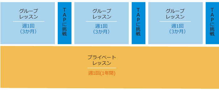 スケジュール例(1) 通学1年間コース週1回ペース