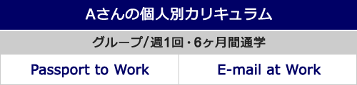 Aさんの個人別カリキュラム